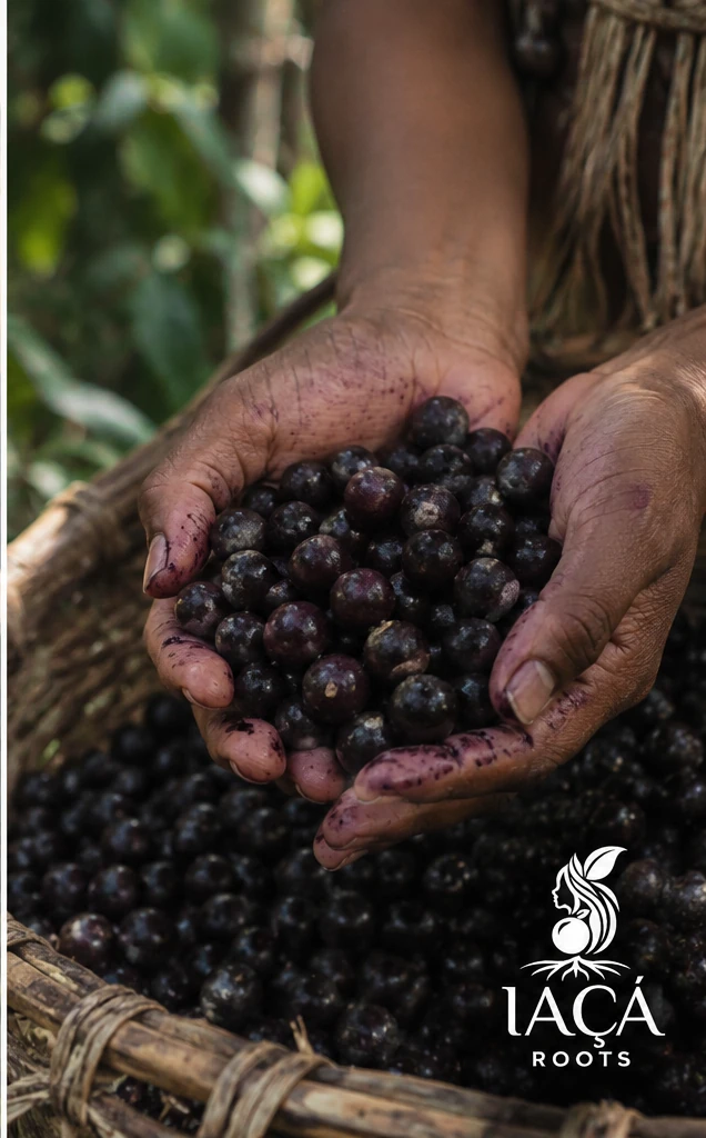 De onde vem o açaí?